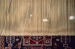 Agra;-Border;-Carpet;-Crafts;-Craftsman;-Craftsmanship;-Detail;-Geometric-patterns;-Hand-knotted-carpet;-India;-Kaleidos;-Kaleidos-images;-La-parole-à-limage;-Labour;-Loom;-Stories-Pictures;-Stylised-animals;-Tarek-Charara;-Threads;-Uttar-Pradesh;-Warp;-Weaving